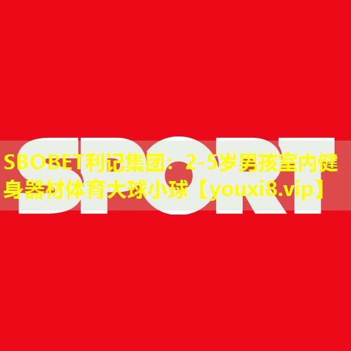 SBOBET利记集团：2-5岁男孩室内健身器材体育大球小球