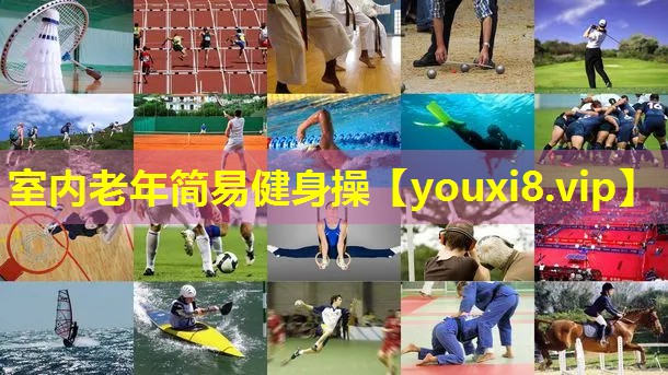 室内老年简易健身操