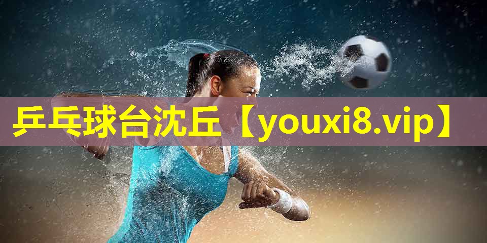 乒乓球台沈丘