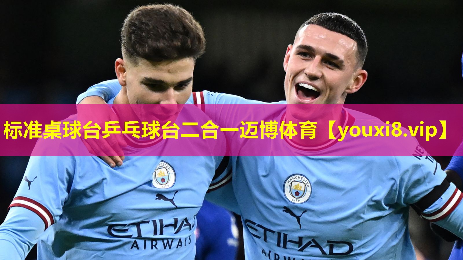 标准桌球台乒乓球台二合一迈博体育