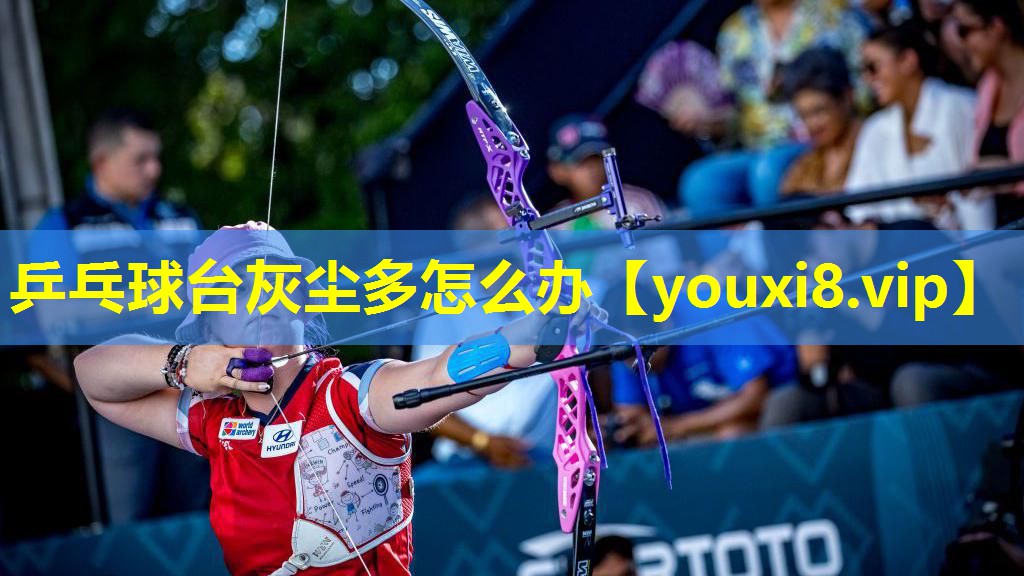乒乓球台灰尘多怎么办