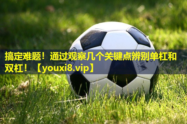 搞定难题！通过观察几个关键点辨别单杠和双杠！