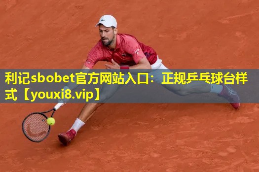 利记sbobet官方网站入口：正规乒乓球台样式