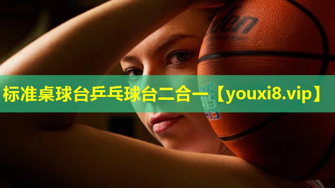 标准桌球台乒乓球台二合一