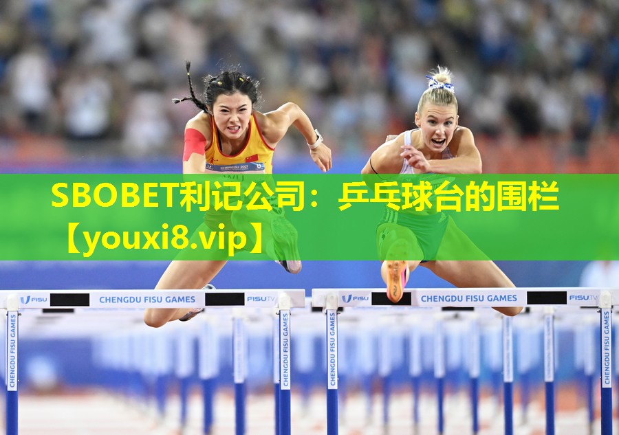 乒乓球台的围栏