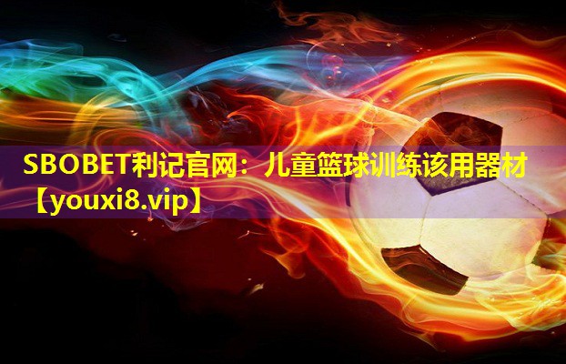 儿童篮球训练该用器材 儿童篮球训练该用器材
