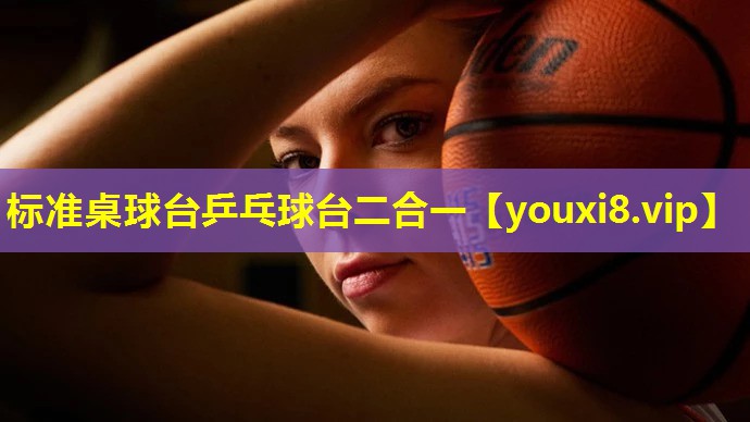 标准桌球台乒乓球台二合一 标准桌球台乒乓球台二合一