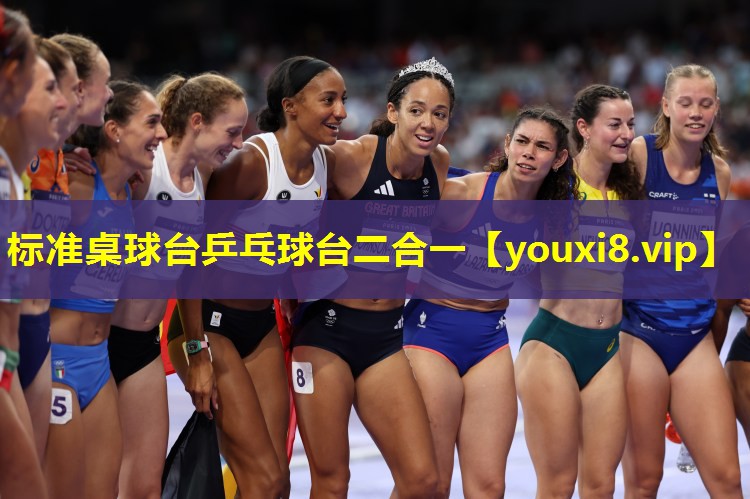 标准桌球台乒乓球台二合一 标准桌球台乒乓球台二合一